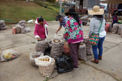 Fin potatis, Plaza de Mercado, Villa de Leyva.