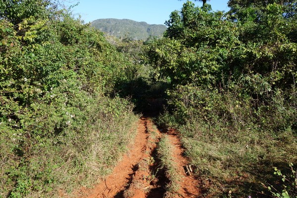 Trekking i underbara Valle de Viñales.