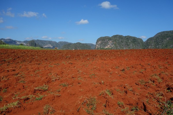 Trekking i underbara Valle de Viñales.