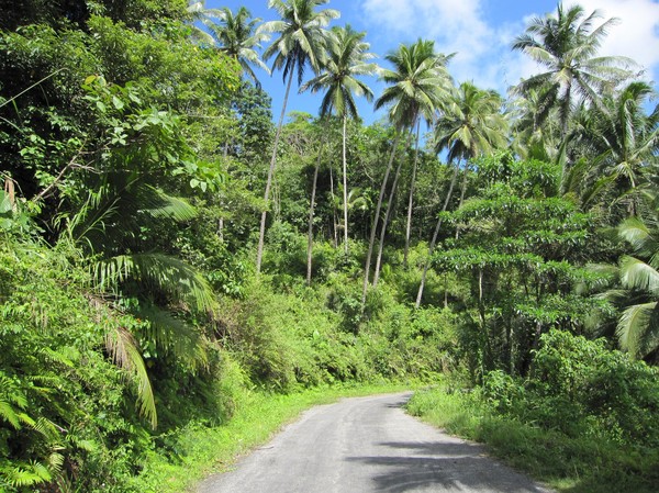 Någonstans uppe i bergen på Siquijor.