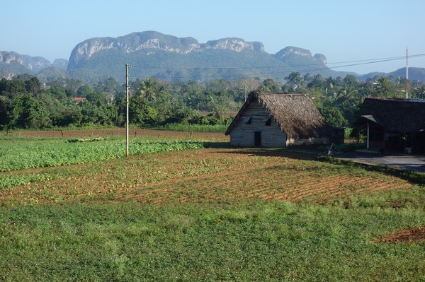 Promenaden upp till Parque Nacional Viñales Visitors Center och Hotel los Jazmines.