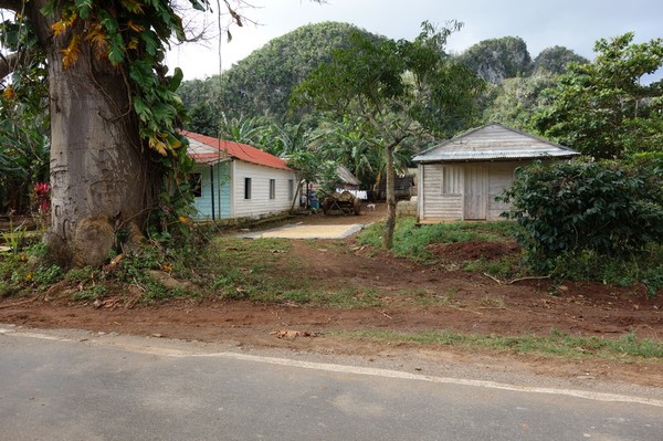 Lantliv i Valle de Viñales.