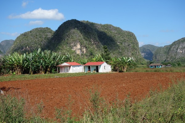 Trekking i underbara Valle de Viñales.