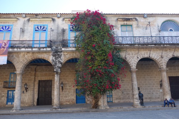 Palacio de Lombillo, Plaza de la Catedral, Habana Vieja, Havanna.