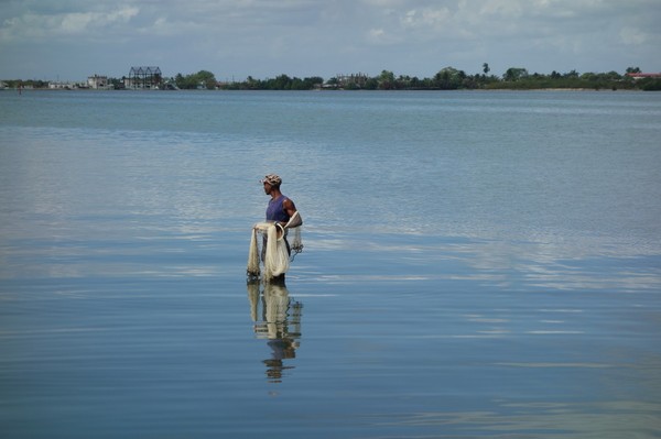 Fiske med nät i Bahia de Cienfuegos, Malecon, Cienfuegos.