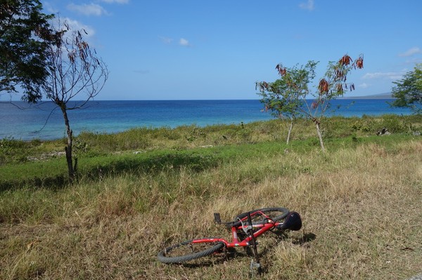 Längs vägen mellan La Boca och Playa Ancon.