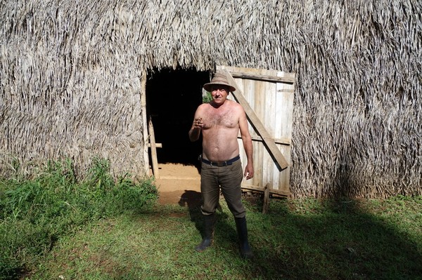 Ut ur ladan kommer en äkta tobaksbonde med en cigarr i handen! Valle de Viñales.