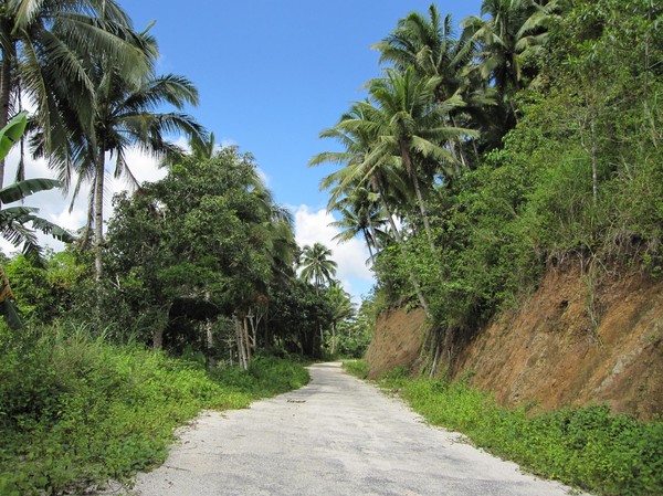 Någonstans uppe i bergen på Siquijor.