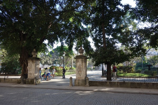 Träbelagd gata för att dämpa ljudet från hästhovar, utanför Palacio de los Capitanes Generales, Plaza de Armas, Habana Vieja, Havanna.