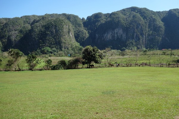 Vidderna vid Mural de la Prehistoria, Valle de Viñales.