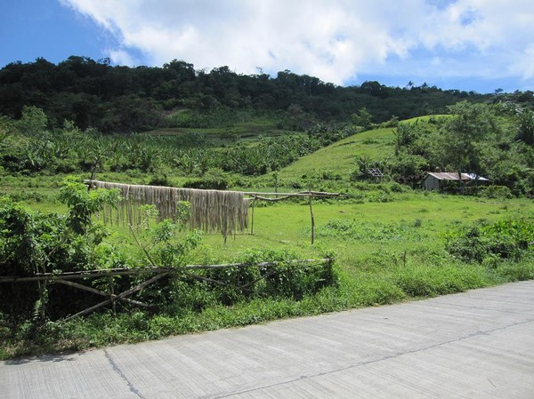 På väg ner tillbaka till Ormoc City från Lake Danao.