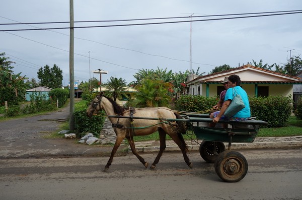 Häst och vagn, vanligt transportsätt i Valle de Viñales.