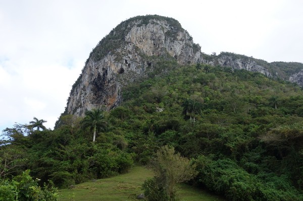 Makalös natur längs vägen, Valle de Viñales.