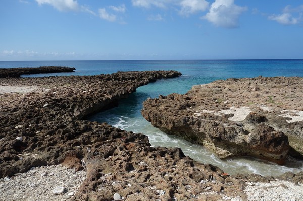 Längs vägen mellan La Boca och Playa Ancon.