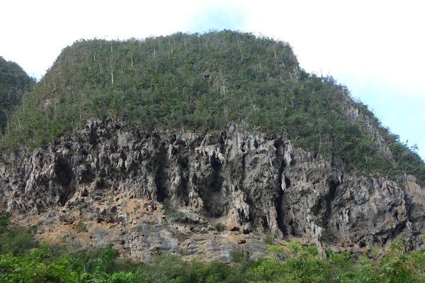 Denna mogote var speciell. Vid denna plats blev jag kvar länge, Valle de Viñales.