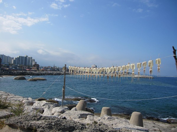 En av beacherna i Sokcho city. I förgrunden bläckfisk på tork.