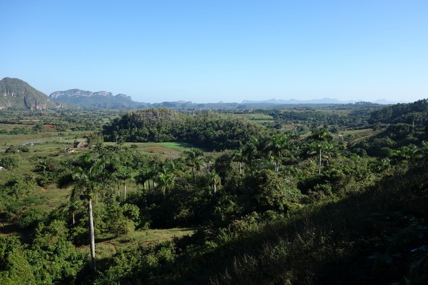 Utsikt över Valle de Viñales vid Parque Nacional Viñales Visitors Center.