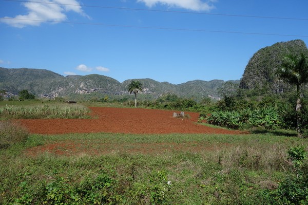 Trekking i underbara Valle de Viñales.