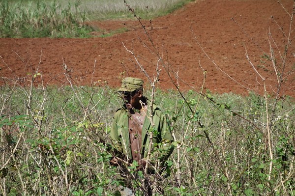 Denna bonde skrämde mig då jag inte upptäckte honom förrän han var alldeles nära inpå mig, Valle de Viñales.
