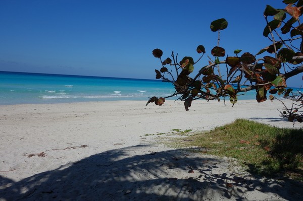 Stranden vid hotell Club Herradura, Varadero.