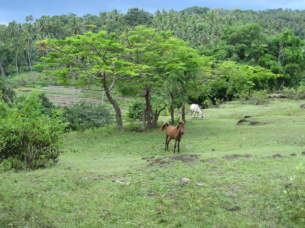 Promenaden från Baucau old town ner till Wataboo beach, Osolata, Baucau, Östtimor.