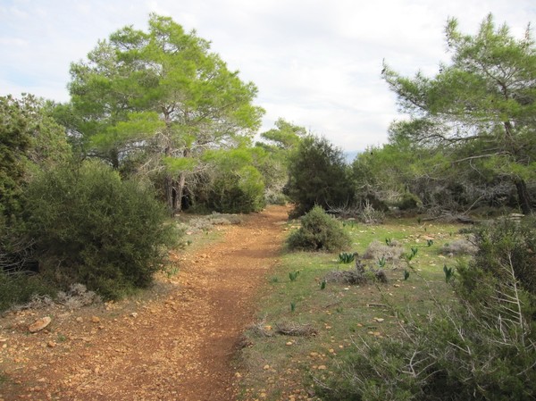 Längs Aphrodite trail, Akamas peninsula.