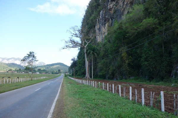 Naturen längs vägen, Valle de San Vicente.