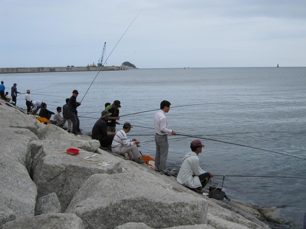 Jättepopulärt med spöfiske i Sokcho.