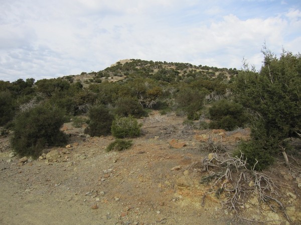 Toppen av Mouti tis Sotiras (370 m.ö.h.), längs Aphrodite trail, Akamas peninsula.
