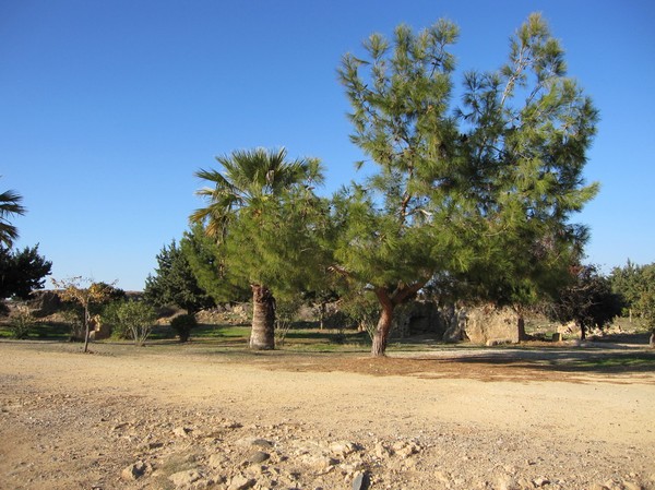 Tombs of the kings, Pafos.