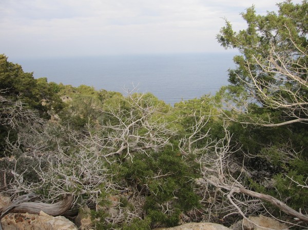 Längs Aphrodite trail, Akamas peninsula.