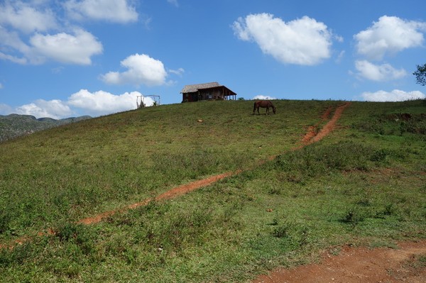 Trekking i underbara Valle de Viñales.