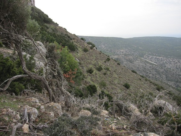 Längs Aphrodite trail, Akamas peninsula.