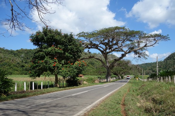 Naturen längs vägen, Valle de San Vicente.