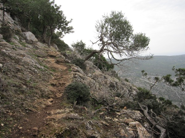 Längs Aphrodite trail, Akamas peninsula.