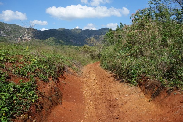 Trekking i underbara Valle de Viñales.