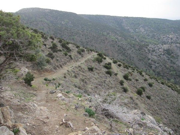 Längs Aphrodite trail, Akamas peninsula.