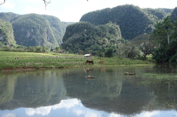 Trekking i underbara Valle de Viñales.