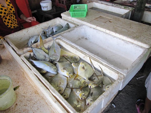 Jimbaran fish market, Bali.