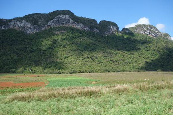 Ännu mer av den fantastiska naturen, tillbaka i Valle de Viñales.