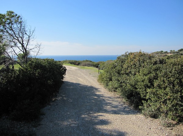 Naturen i närheten av Aphrodite's Rock på Cyperns sydkust.
