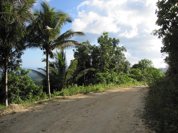 Längs huvudvägen som skär genom ön från norr till söder.