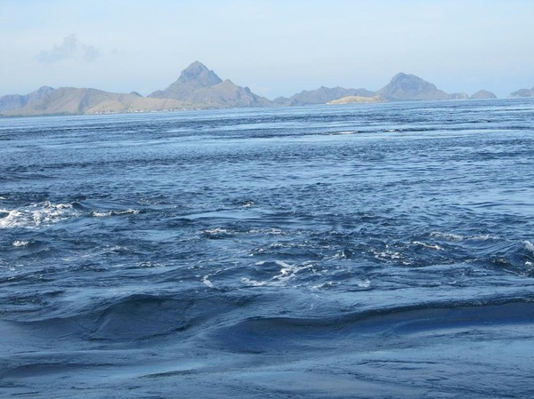 De starka havströmmarna i vattnen runt Komodo island.