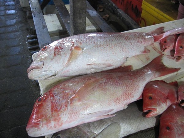 Jimbaran fish market, Bali.