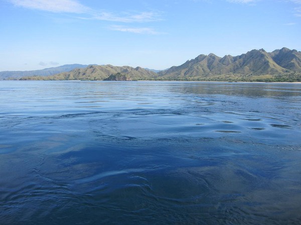 De starka havströmmarna i vattnen runt Komodo island.