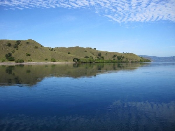 Spektakulära Komodo island inom räckhåll.