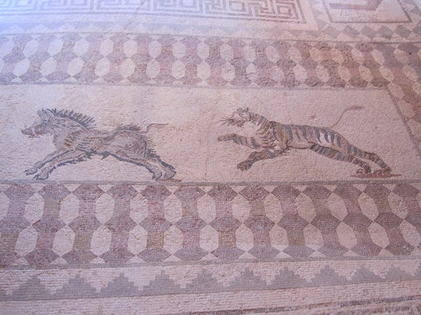 Mosaik, Pafos archeological site.