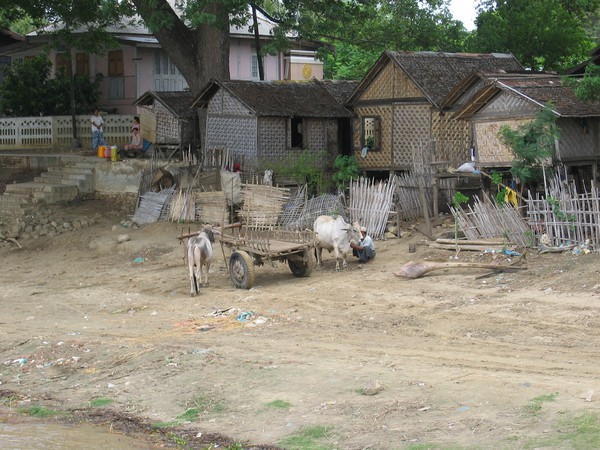 Landsbygdsliv längs Ayeyarwaddy River.