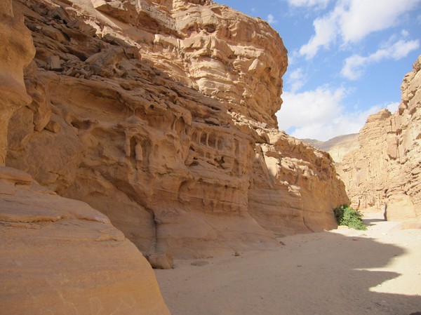 Safari i Coloured Canyon, Sinai.