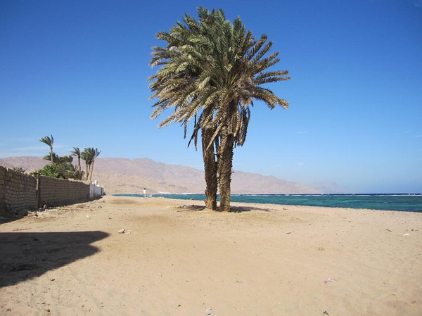 Dahab, Sinai, Egypten.